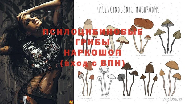 гашиш Абинск