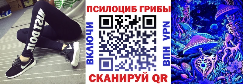 Псилоцибиновые грибы GOLDEN TEACHER  даркнет состав  Комсомольск-на-Амуре  дарнет шоп 