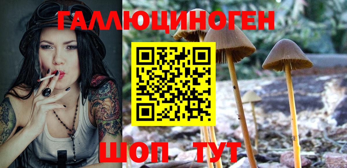 Псилоцибиновые грибы MAGIC MUSHROOMS  Вход с VPN  Комсомольск-на-Амуре 