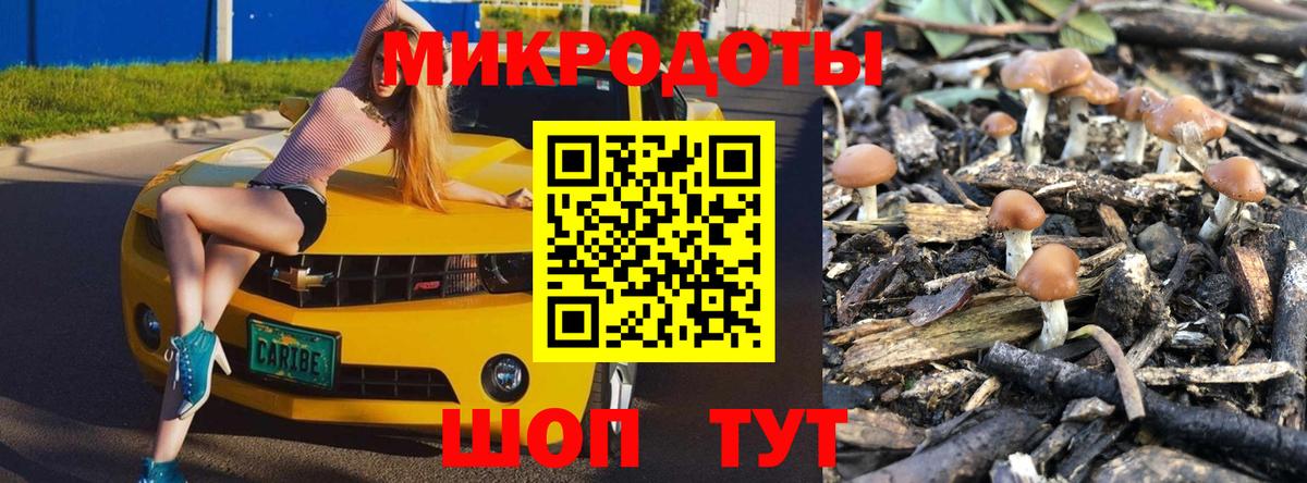 Галлюциногенные грибы Cubensis Комсомольск-на-Амуре